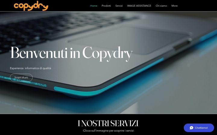 Screenshot of copydry.com