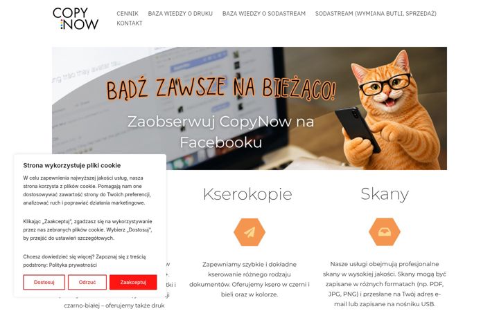 Screenshot of copynow.pl