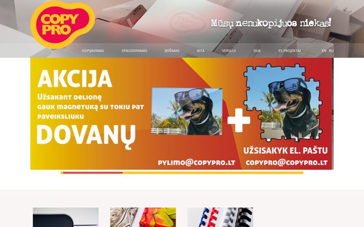 Screenshot di copypro.lt