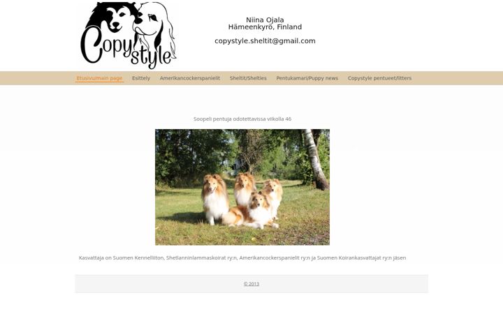 Screenshot of copystyle.fi