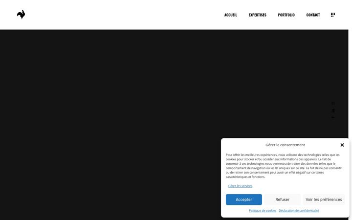 Screenshot di coqnoir.fr