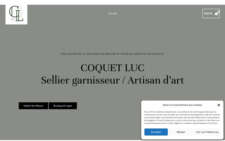 Screenshot di coquetsellerie.fr
