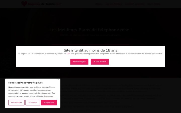 Screenshot of coquines-de-france.com