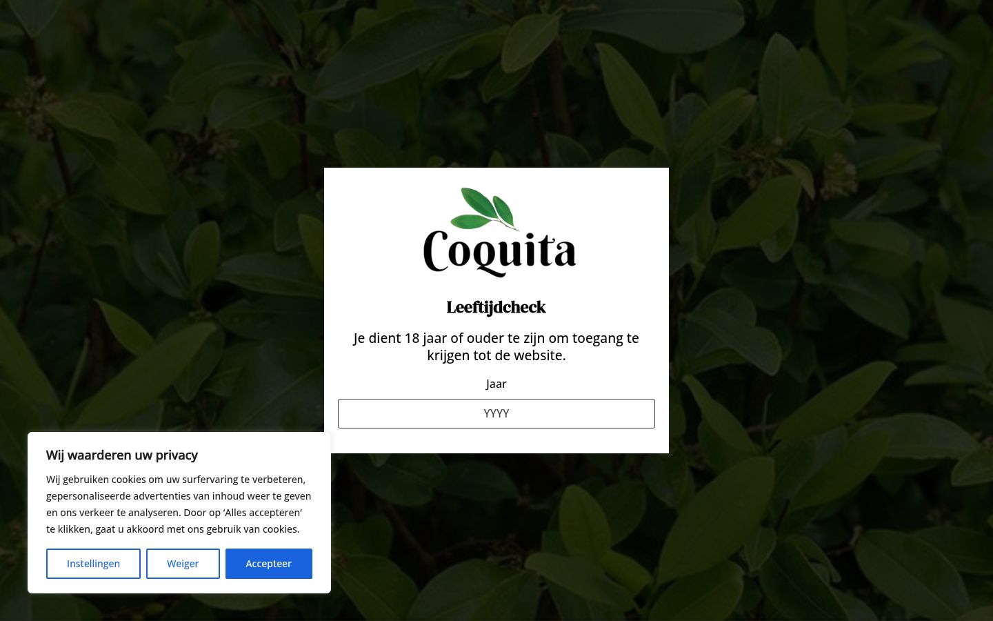 Screenshot of the consent banner shown before any interaction