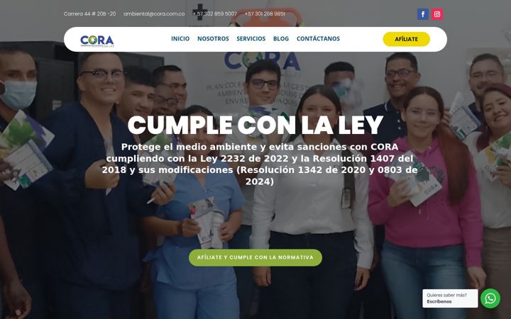 Екранна снимка на cora.com.co