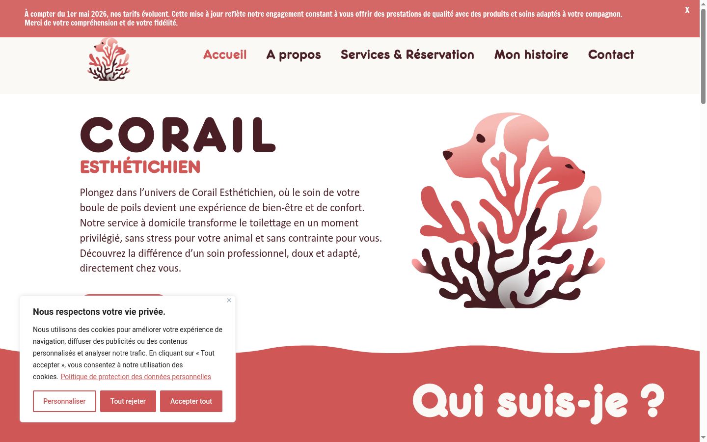 Screenshot del banner di consenso mostrato prima di qualsiasi interazione