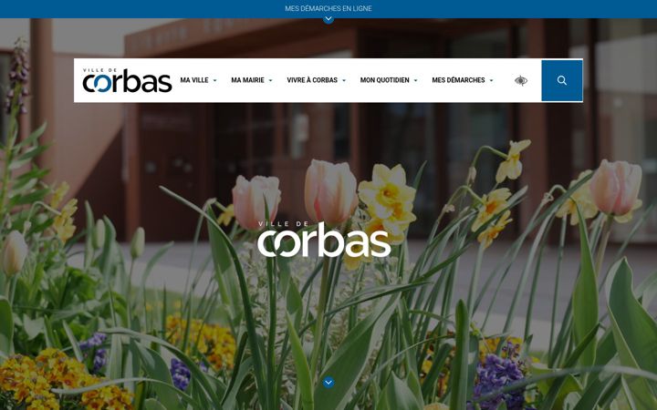 Screenshot of corbas.fr