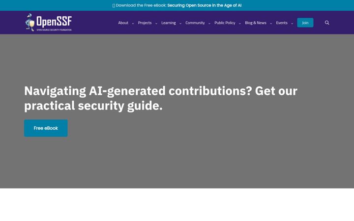 Screenshot of coreinfrastructure.org