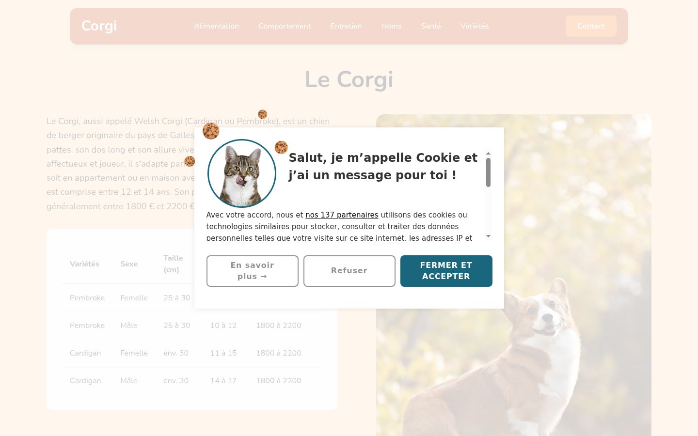 Capture d'écran de la bannière de consentement affichée avant toute interaction