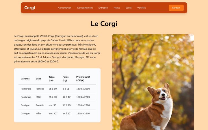 Screenshot of corgi-chien.fr