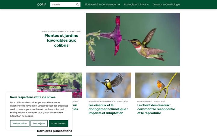 Screenshot of corif.net