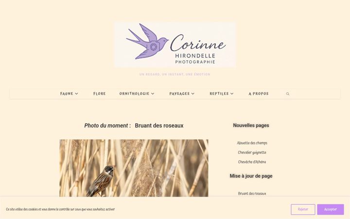 Screenshot di corinnehirondellephotographie.fr