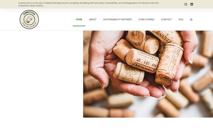 Screenshot of corkcycle.org