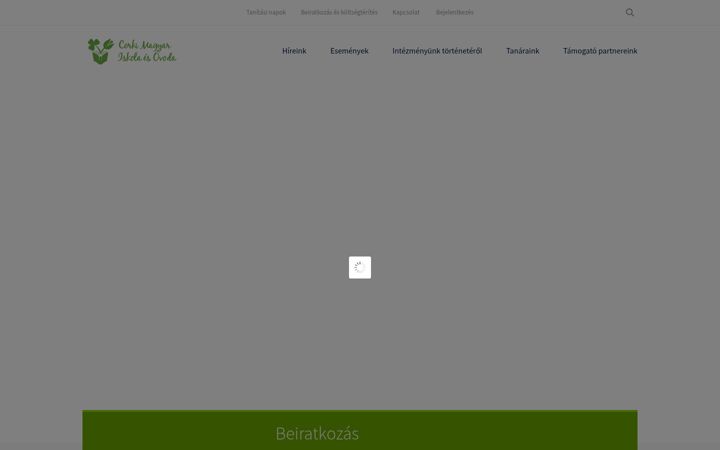 Screenshot of corkisuli.com