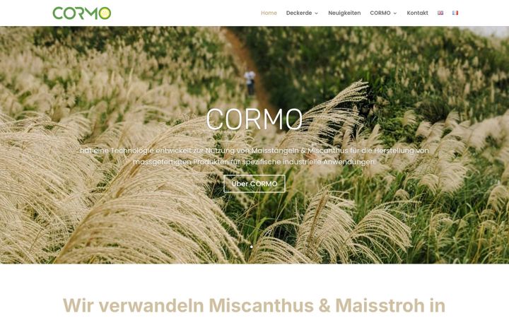 Screenshot of cormogroup.com