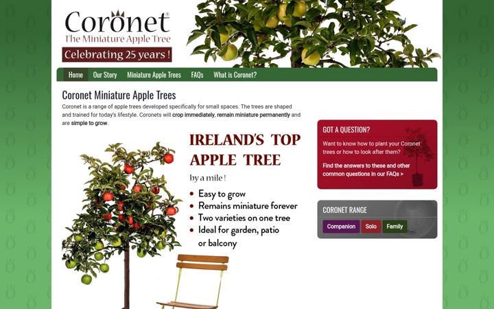 Screenshot of coronet.ie