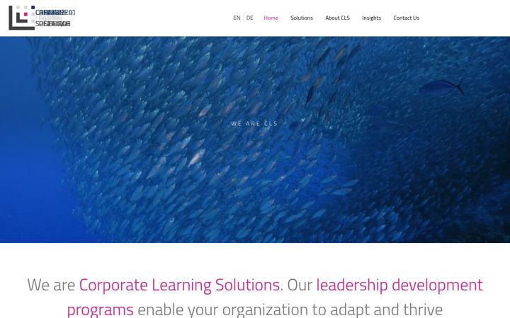 Screenshot of corporate-learning-solutions.com