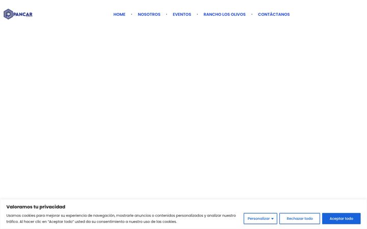 Screenshot of corporativopancar.com
