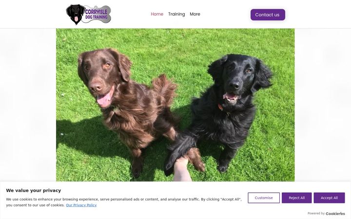 Screenshot di corryisledogtraining.co.uk