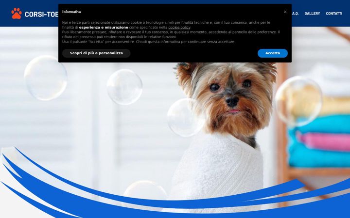 Screenshot of corsi-toelettatura.it