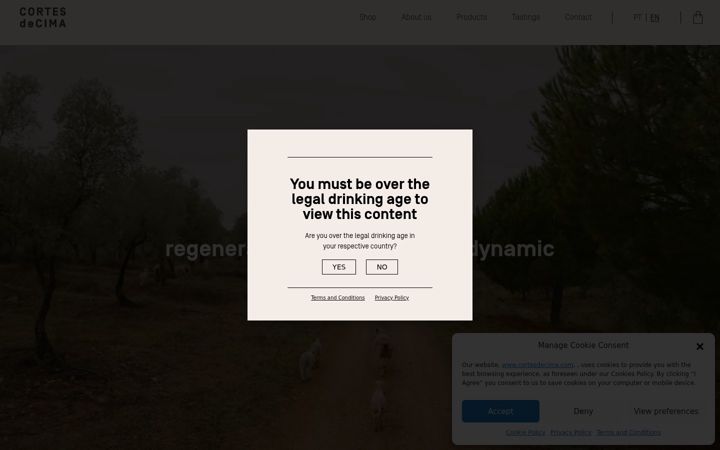 Screenshot of cortesdecima.pt