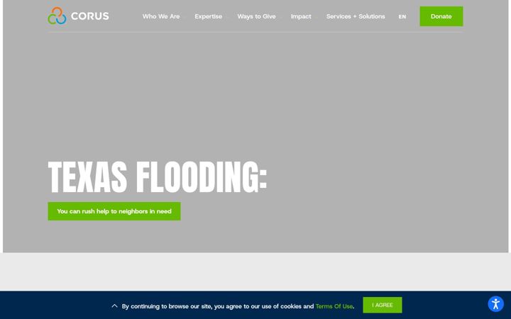 Kuvakaappaus sivustosta corusinternational.org