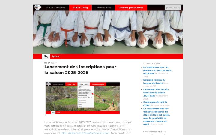 Screenshot of corvi.fr