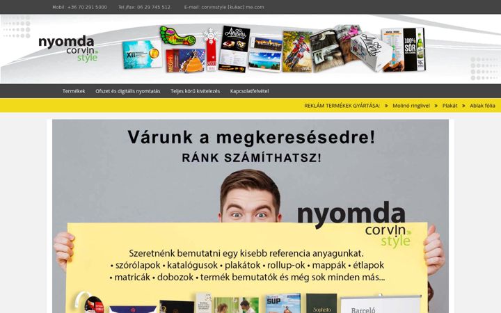 Screenshot of corvinstyle.com