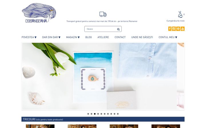 Screenshot of cosanzeana.ro