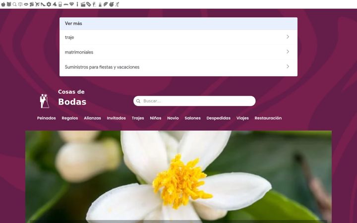 Screenshot of cosasdebodas.es