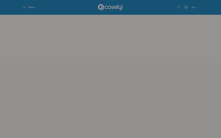 Screenshot of coselgi.com