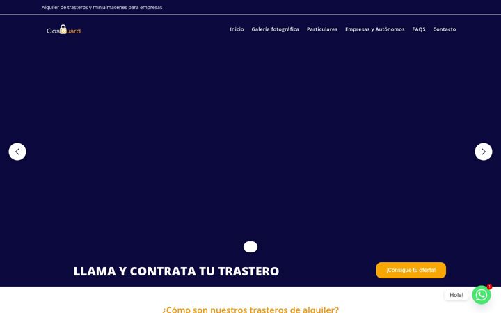 Screenshot of cosguard.es