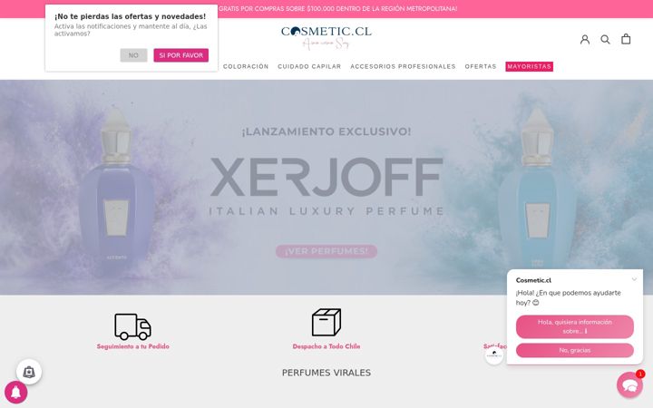 Kuvakaappaus sivustosta cosmetic.cl