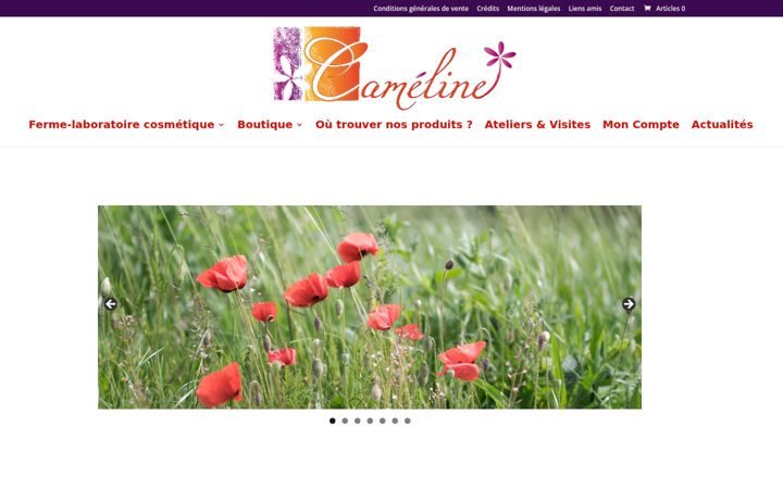 Zrzut ekranu cosmetiques-cameline.fr