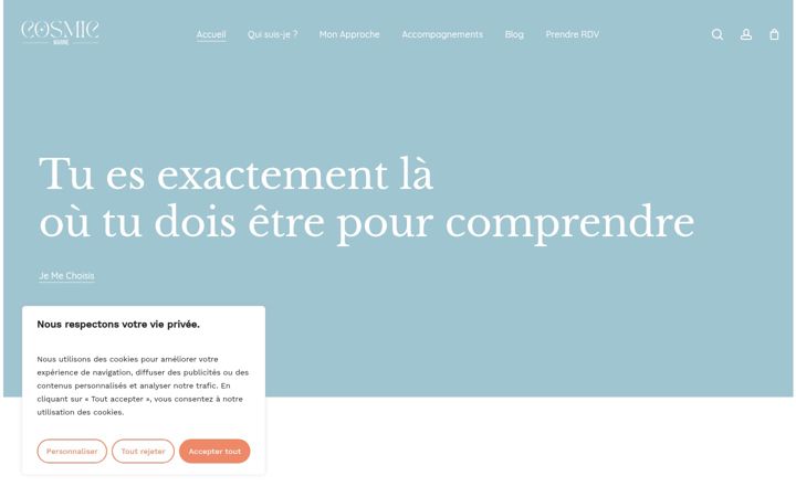 Screenshot of cosmic-marine.com