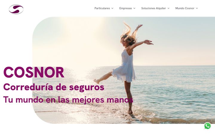 Screenshot of cosnor.com