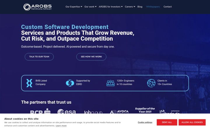 Screenshot of coso.nl