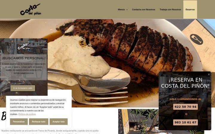 Screenshot of costadelpinon.es