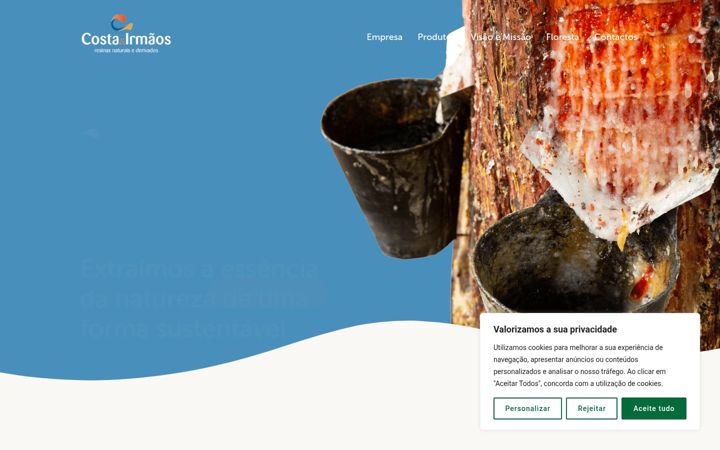 Screenshot of costaeirmaos.com