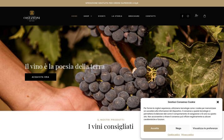 Screenshot of costantinivini.it