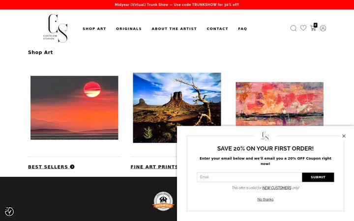 Screenshot of costelowstudios.com