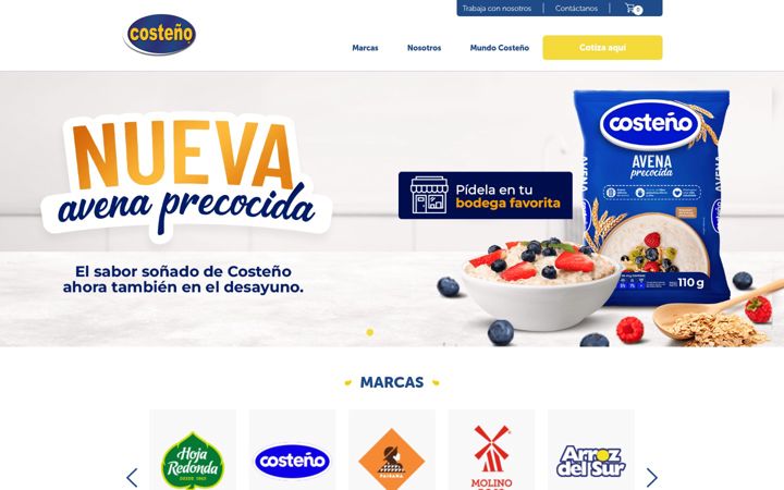 Screenshot of costenoalimentos.com.pe