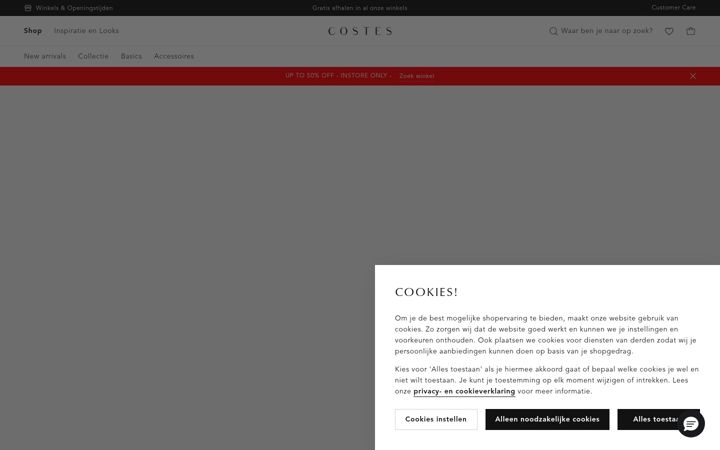 Screenshot of costesfashion.com