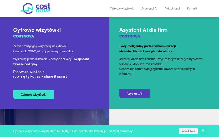 Zrzut ekranu costnova.pl