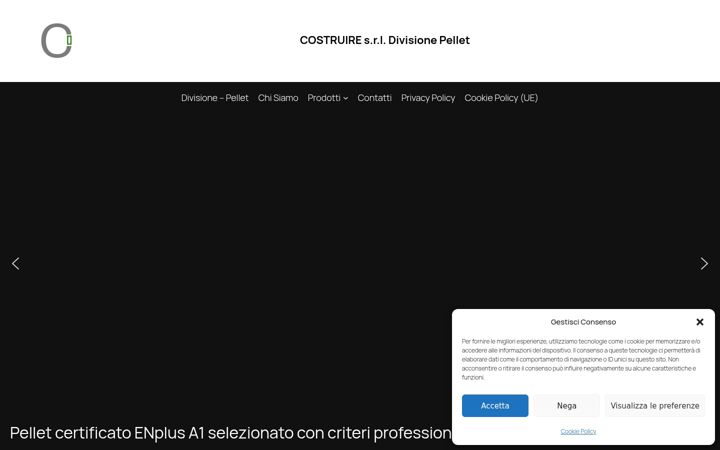 Posnetek zaslona costruire-pellet.it