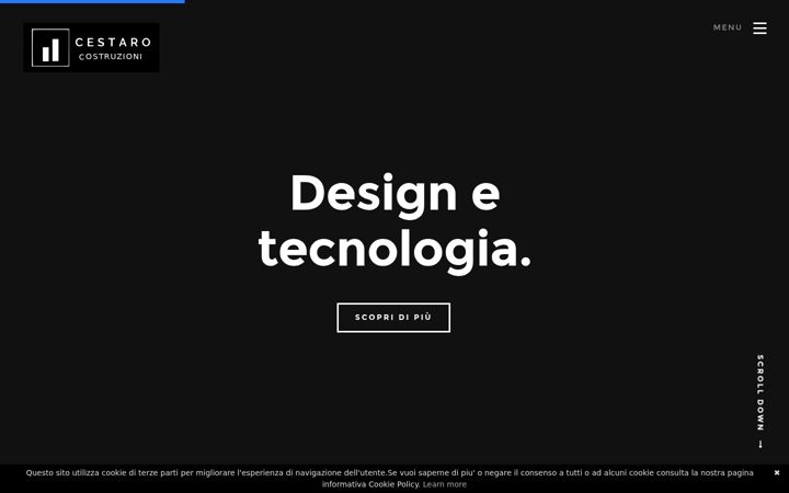 Posnetek zaslona costruzionicestaro.it