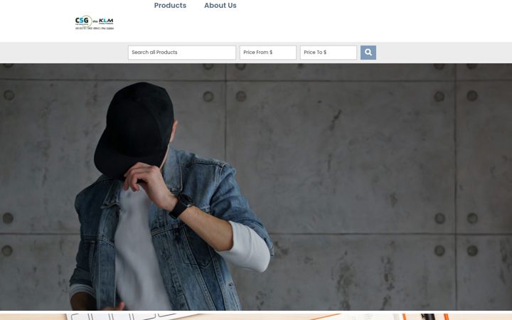 Screenshot of costsavinggroup.com