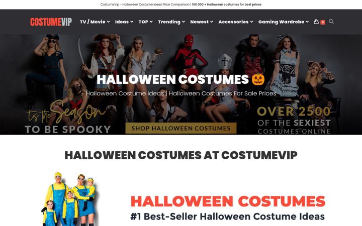 Screenshot of costumevip.com