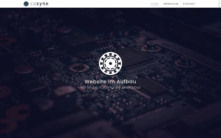 Screenshot of cosyne.de