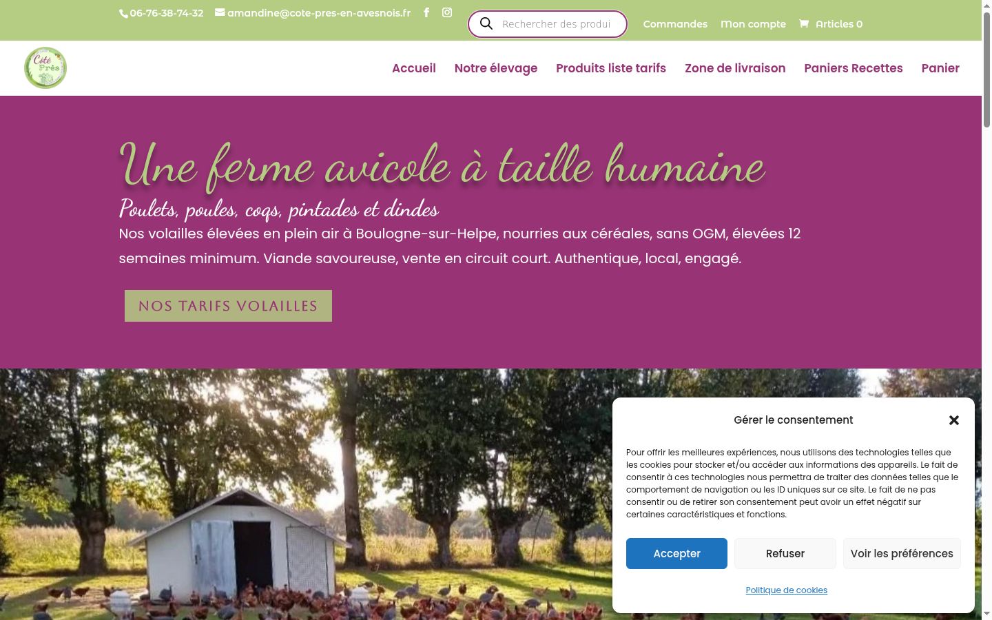 Snimka zaslona bannera za privolu prikazanog prije bilo kakve interakcije